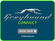 Greyhound Connect
